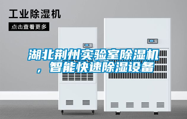 湖北荊州實驗室除濕機,智能快速除濕設備
