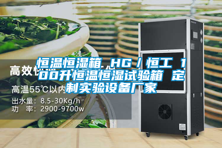 恒溫恒濕箱 HG/恒工 100升恒溫恒濕試驗(yàn)箱 定制實(shí)驗(yàn)設(shè)備廠家