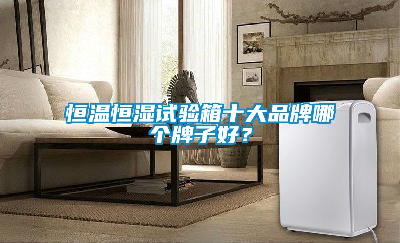 恒溫恒濕試驗(yàn)箱十大品牌哪個牌子好?