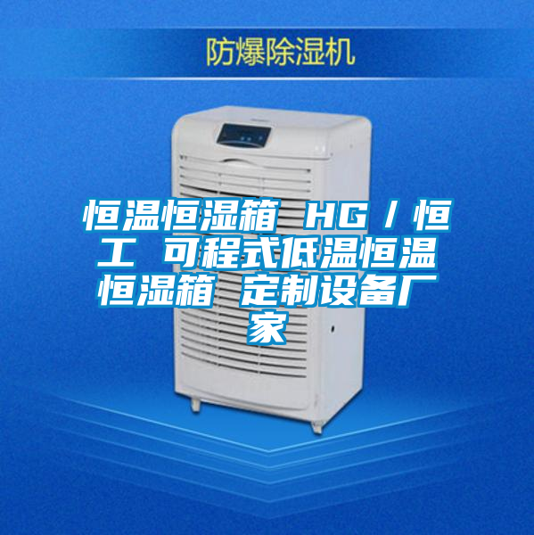 恒溫恒濕箱 HG/恒工 可程式低溫恒溫恒濕箱 定制設(shè)備廠(chǎng)家