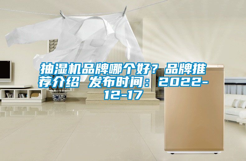 抽濕機品牌哪個好?品牌推薦介紹 發布時間:2022-12-17