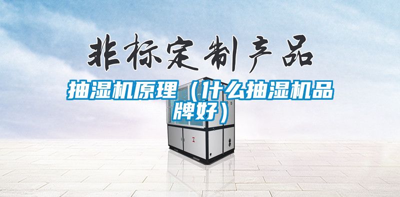 抽濕機原理(什么抽濕機品牌好)
