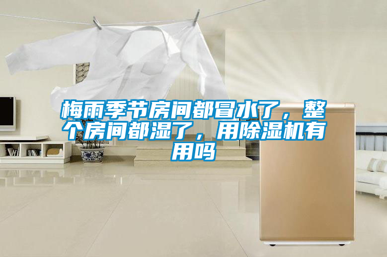 梅雨季節房間都冒水了,整個房間都濕了,用除濕機有用嗎