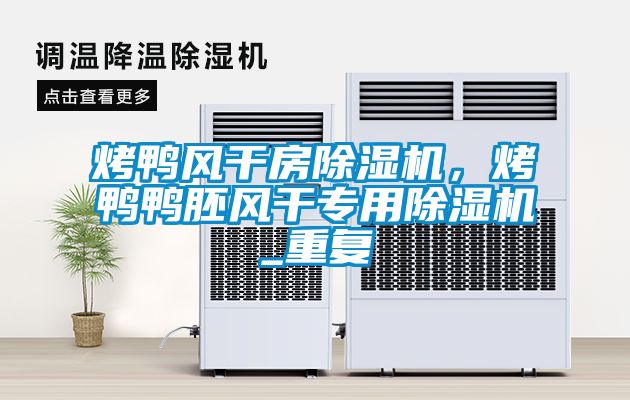 烤鴨風(fēng)干房除濕機,烤鴨鴨胚風(fēng)干專用除濕機_重復(fù)