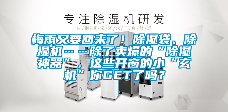 梅雨又要回來了！除濕袋、除濕機……除了賣爆的“除濕神器”，這些開窗的小“玄機”你GET了嗎？