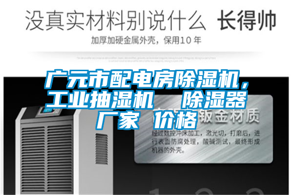 廣元市配電房除濕機(jī)，工業(yè)抽濕機(jī)  除濕器廠家 價(jià)格