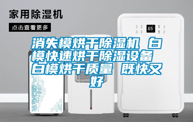 消失模烘干除濕機 白?？焖俸娓沙凉裨O備 白模烘干質量 既快又好