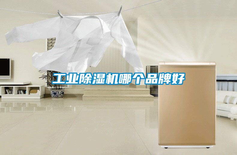 工業(yè)除濕機(jī)哪個(gè)品牌好