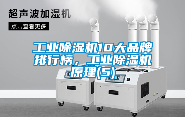 工業除濕機10大品牌排行榜,工業除濕機原理(5)