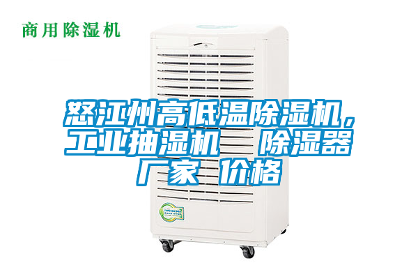 怒江州高低溫除濕機，工業抽濕機  除濕器廠家 價格