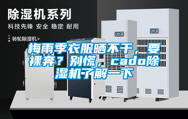 梅雨季衣服曬不干，要裸奔？別慌，cado除濕機了解一下