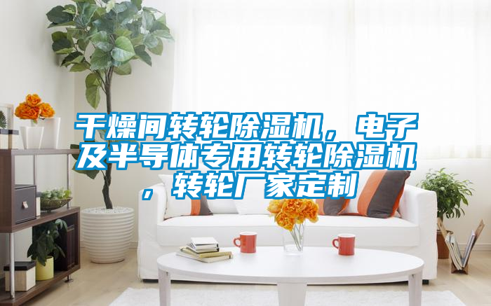 干燥間轉輪除濕機,電子及半導體專用轉輪除濕機,轉輪廠家定制