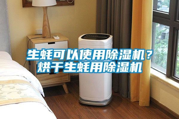 生蠔可以使用除濕機？烘干生蠔用除濕機