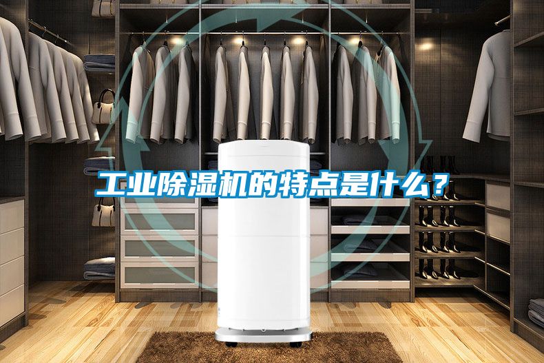 工業(yè)除濕機(jī)的特點(diǎn)是什么？