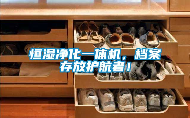 恒濕凈化一體機(jī),檔案存放護(hù)航者!