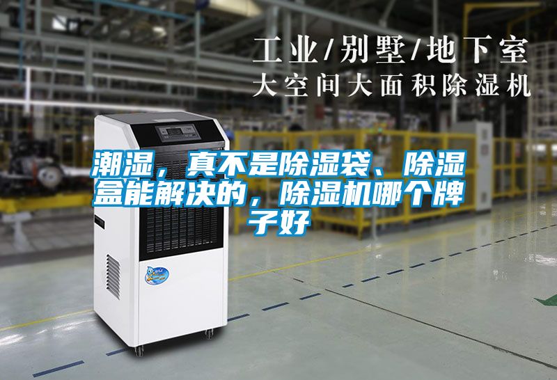 潮濕,真不是除濕袋、除濕盒能解決的,除濕機哪個牌子好