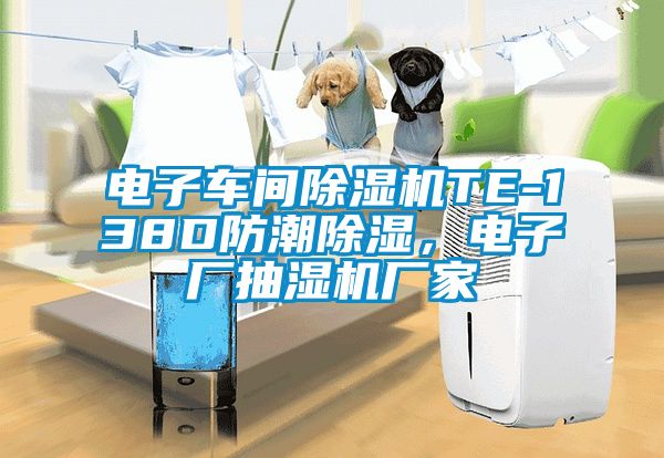電子車間除濕機TE-138D防潮除濕，電子廠抽濕機廠家