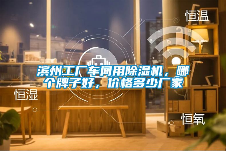 濱州工廠車間用除濕機,哪個牌子好,價格多少廠家
