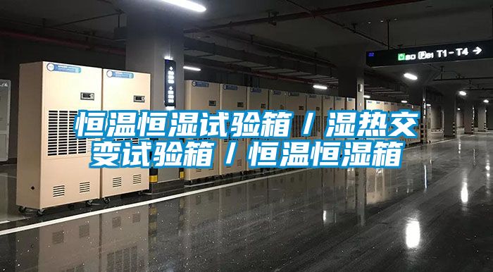 恒溫恒濕試驗(yàn)箱/濕熱交變?cè)囼?yàn)箱/恒溫恒濕箱