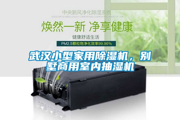武漢小型家用除濕機，別墅商用室內抽濕機