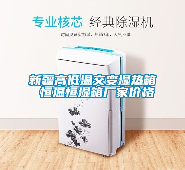 新疆高低溫交變濕熱箱 恒溫恒濕箱廠(chǎng)家價(jià)格