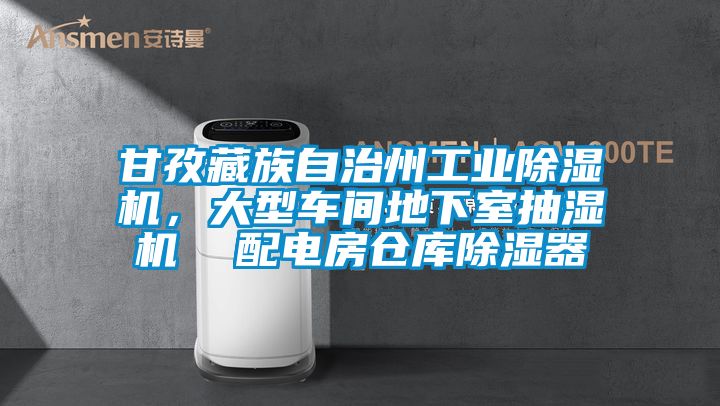 甘孜藏族自治州工業除濕機，大型車間地下室抽濕機  配電房倉庫除濕器