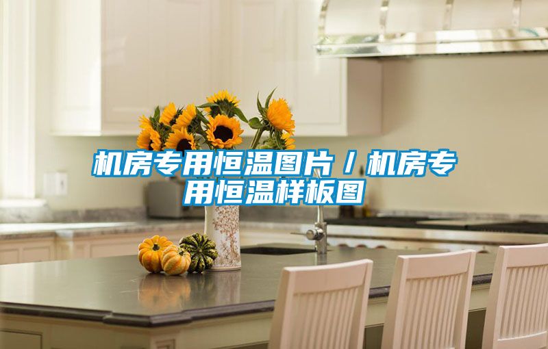 機房專用恒溫圖片/機房專用恒溫樣板圖