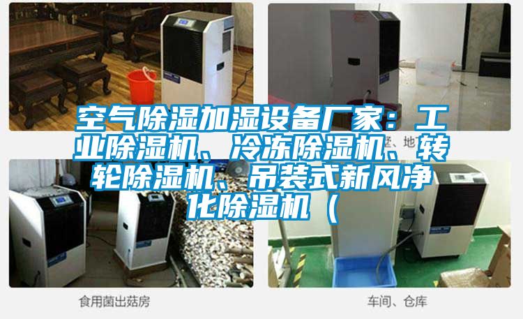 空氣除濕加濕設備廠家：工業除濕機、冷凍除濕機、轉輪除濕機、吊裝式新風凈化除濕機（