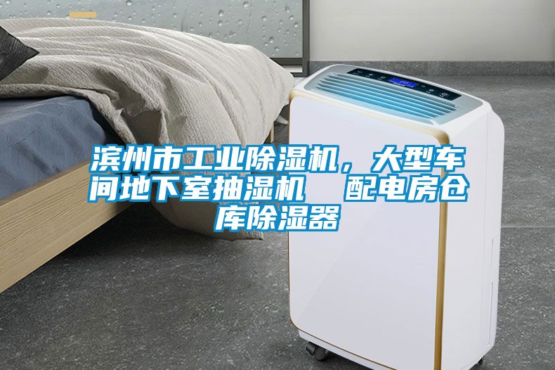 濱州市工業除濕機，大型車間地下室抽濕機  配電房倉庫除濕器