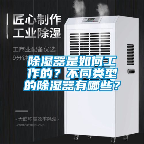 除濕器是如何工作的？不同類型的除濕器有哪些？
