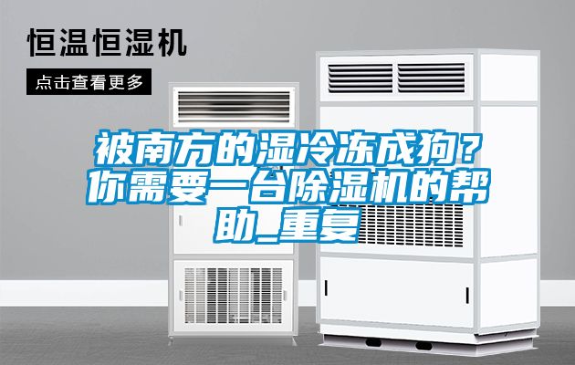 被南方的濕冷凍成狗？你需要一臺除濕機的幫助_重復