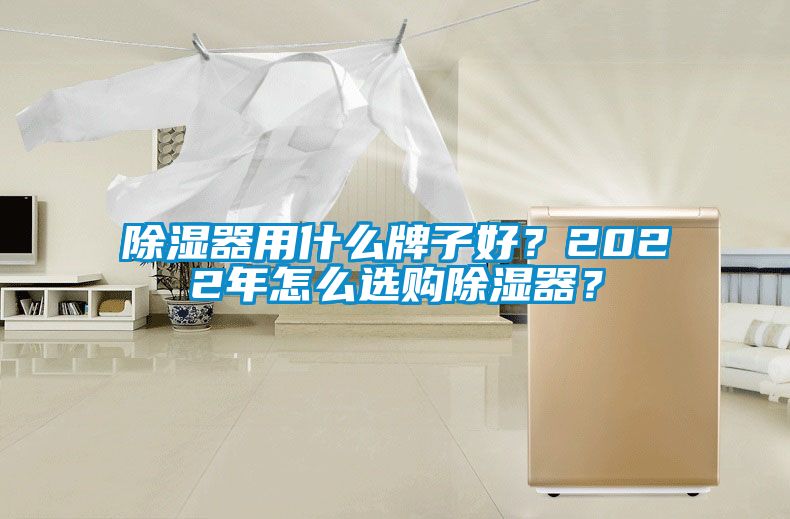 除濕器用什么牌子好？2022年怎么選購(gòu)除濕器？