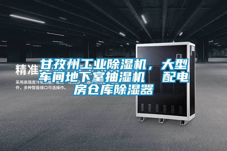 甘孜州工業(yè)除濕機(jī)，大型車(chē)間地下室抽濕機(jī)  配電房倉(cāng)庫(kù)除濕器