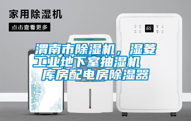 渭南市除濕機(jī),濕菱工業(yè)地下室抽濕機(jī) 庫房配電房除濕器