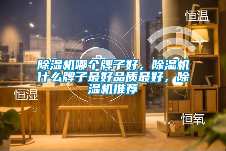 除濕機哪個牌子好，除濕機什么牌子最好品質最好，除濕機推薦