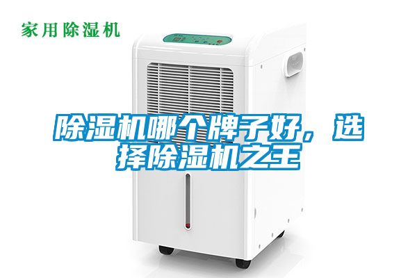 除濕機哪個牌子好，選擇除濕機之王