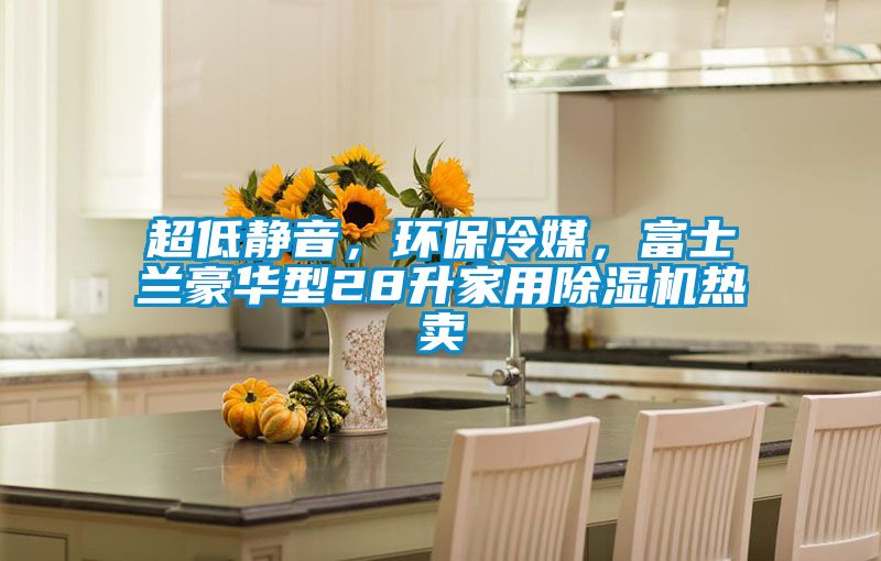 超低靜音，環(huán)保冷媒，富士蘭豪華型28升家用除濕機(jī)熱賣