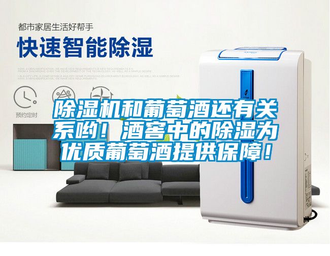 除濕機(jī)和葡萄酒還有關(guān)系喲！酒窖中的除濕為優(yōu)質(zhì)葡萄酒提供保障！