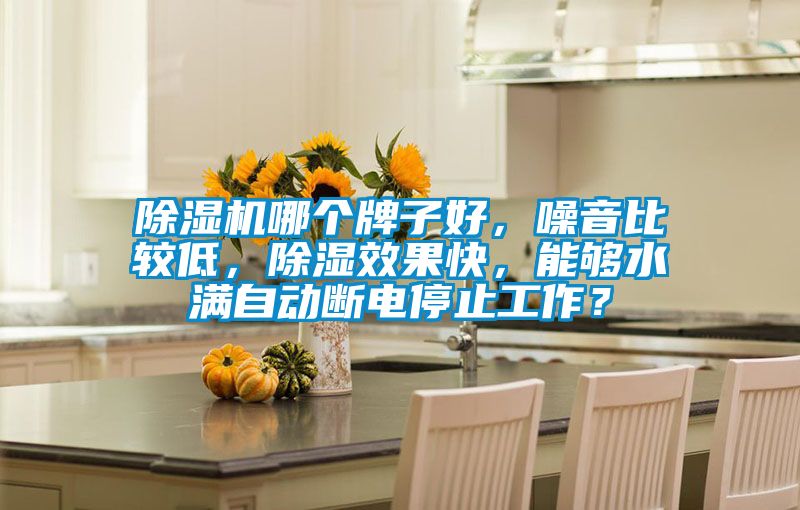 除濕機哪個牌子好，噪音比較低，除濕效果快，能夠水滿自動斷電停止工作？