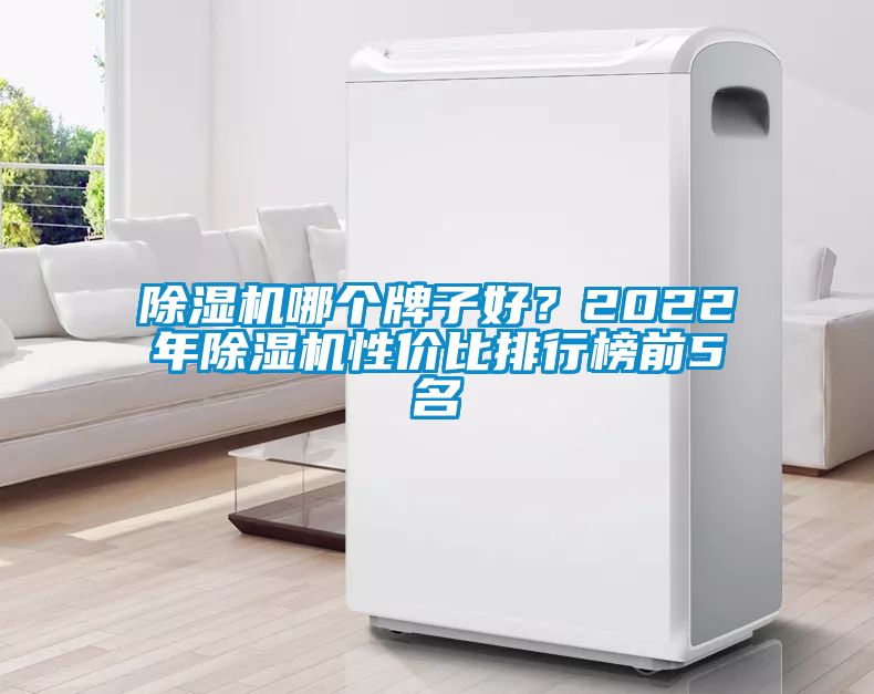 除濕機哪個牌子好？2022年除濕機性價比排行榜前5名