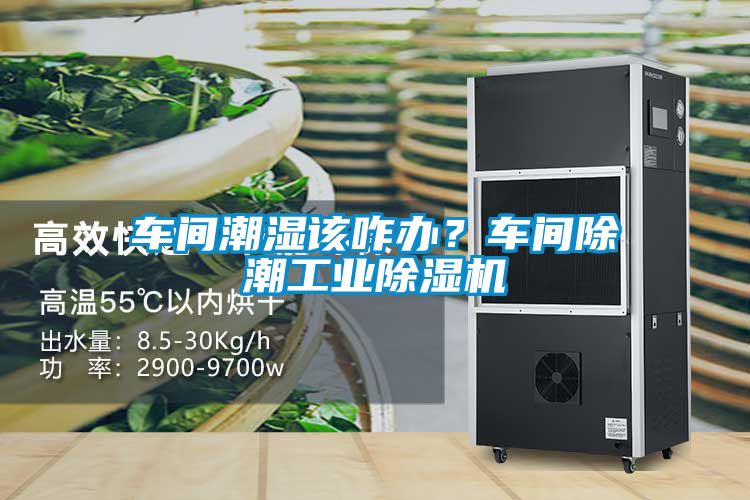 車間潮濕該咋辦？車間除潮工業(yè)除濕機(jī)