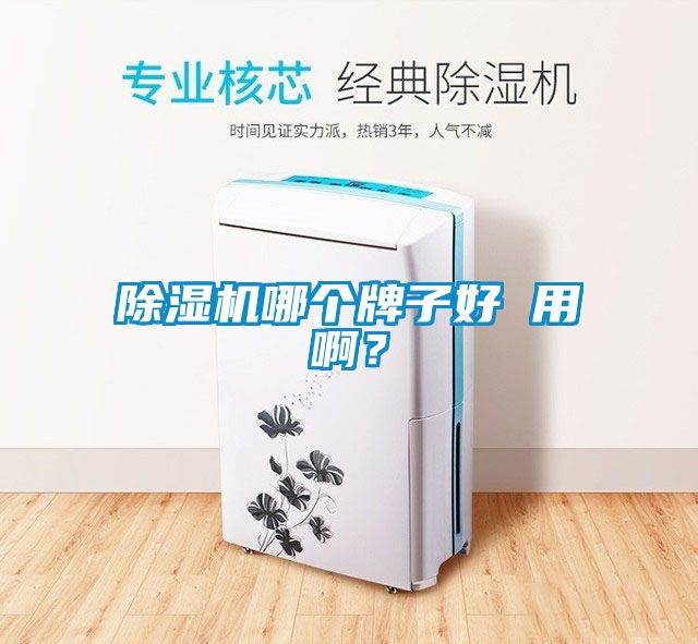 除濕機(jī)哪個牌子好 用啊？