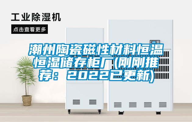 潮州陶瓷磁性材料恒溫恒濕儲存柜廠(剛剛推薦:2022已更新)