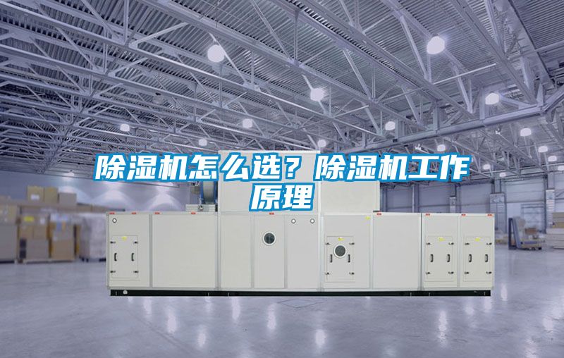 除濕機怎么選？除濕機工作原理
