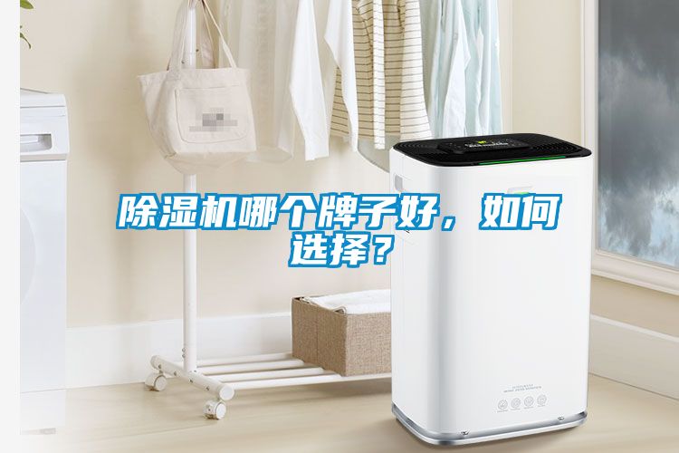 除濕機哪個牌子好，如何選擇？