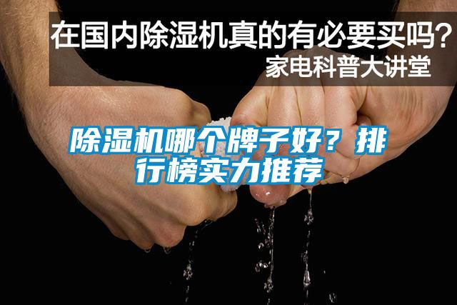 除濕機哪個牌子好？排行榜實力推薦