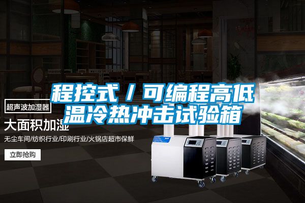 程控式/可編程高低溫冷熱沖擊試驗箱
