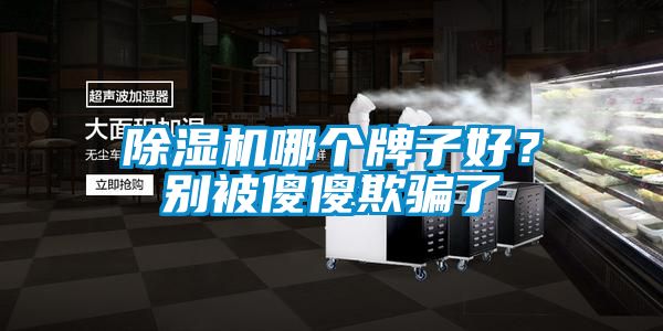 除濕機哪個牌子好？別被傻傻欺騙了