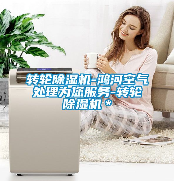 轉(zhuǎn)輪除濕機-鴻河空氣處理為您服務-轉(zhuǎn)輪除濕機＊