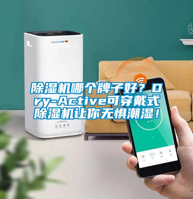 除濕機哪個牌子好？Dry-Active可穿戴式除濕機讓你無懼潮濕！